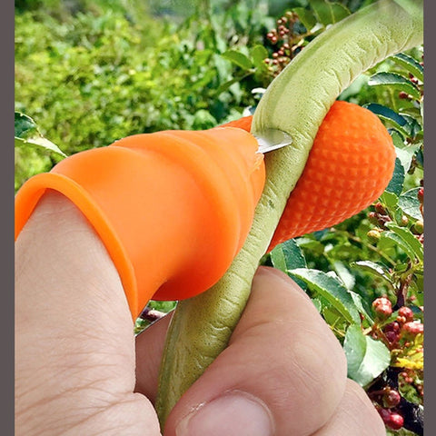 THUMB KNIFE (pick fruit)